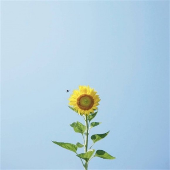 Meet your Posher, David - Picture 1 of 1